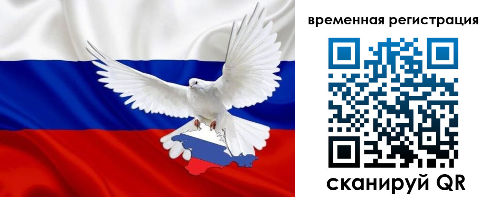 прописка законно в Ельце