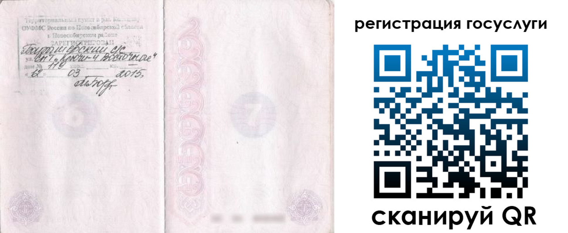 прописка для школы в Ельце